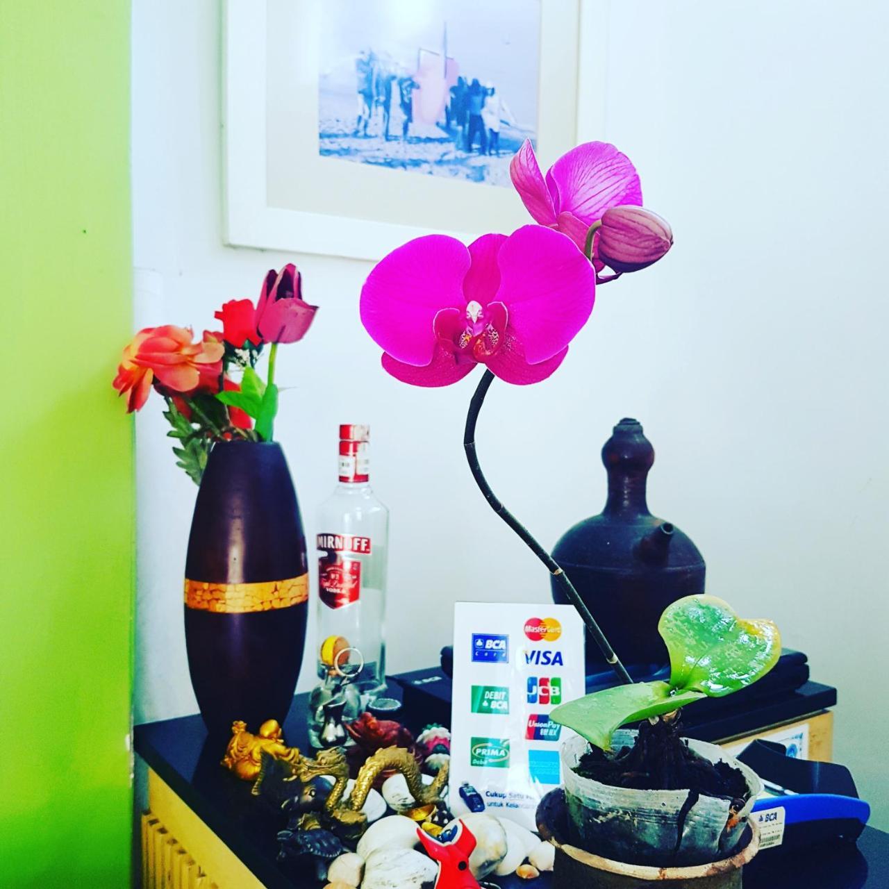 Valomia Guest House Denpasar Zewnętrze zdjęcie